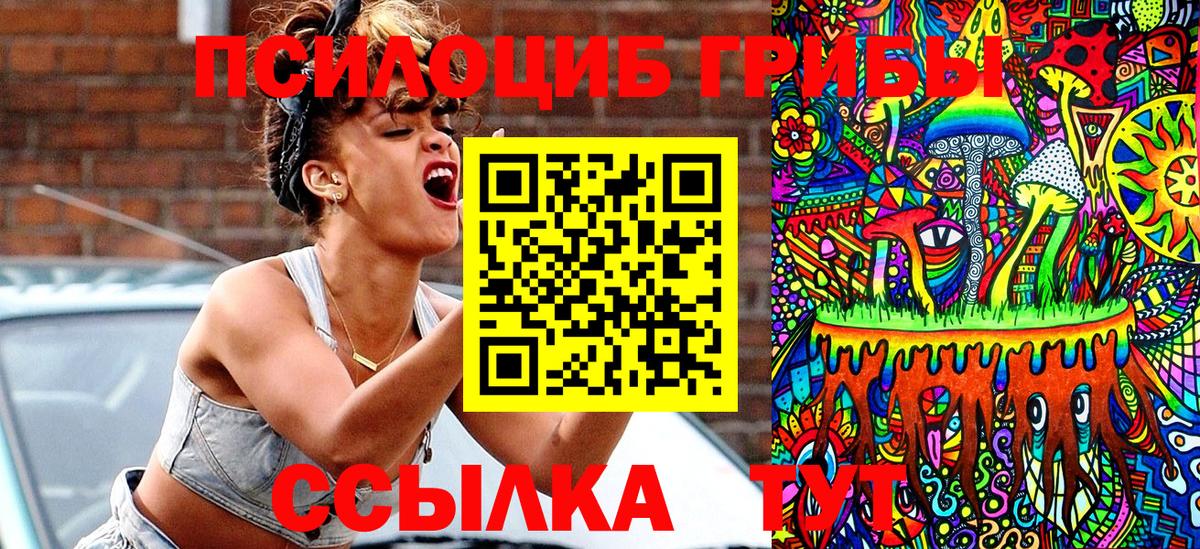 Сухой Лог  Галлюциногенные грибы Psilocybe  Вход с VPN 